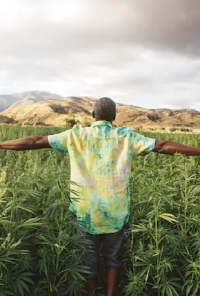 Inside the Rise of Hemp in Outdoor Apparel