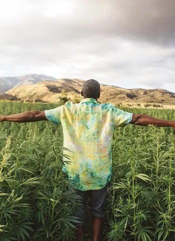 Inside the Rise of Hemp in Outdoor Apparel