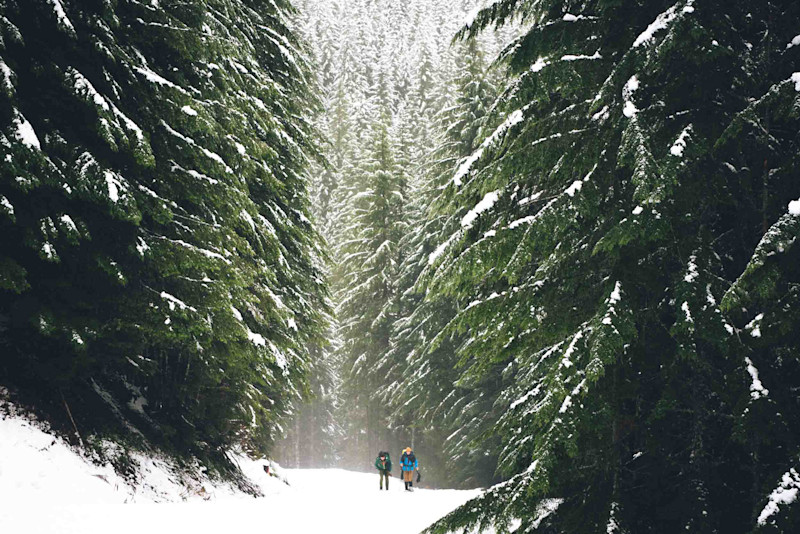 Miriam-S-Snow-Bowl-Hut-19
