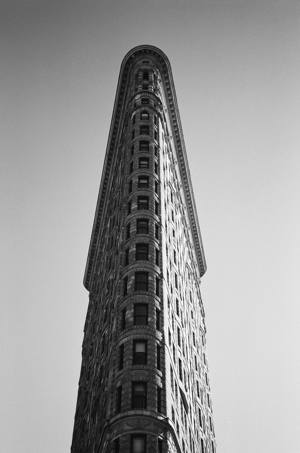Anne-Hollowday-NYC-2