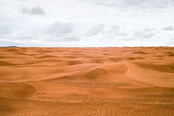 Ethan-Covey-Desert-Speaks-6