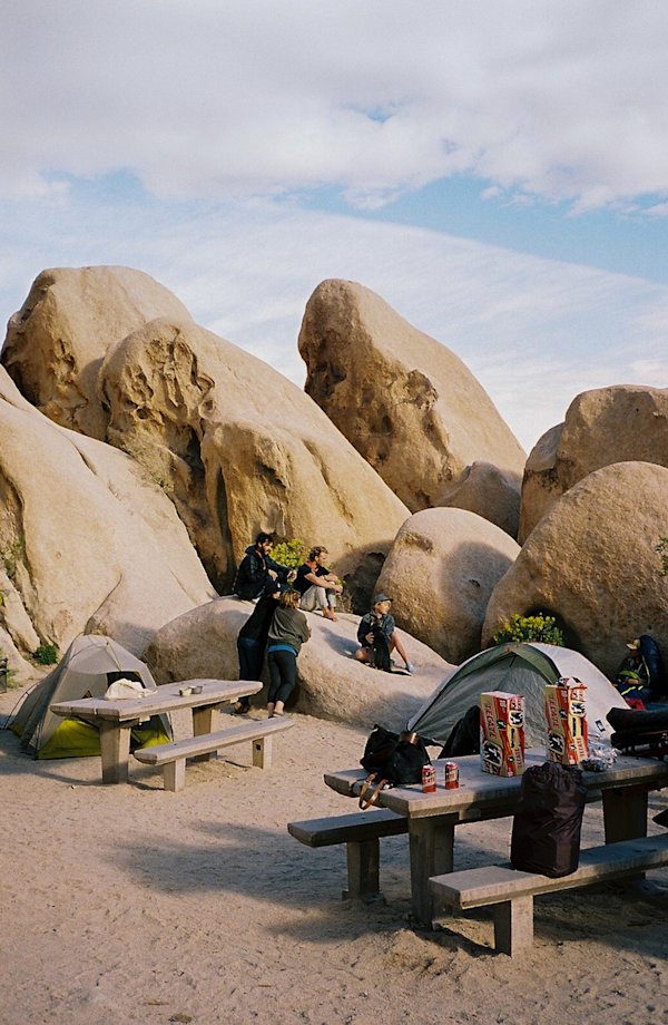 GH-JoshuaTree-6