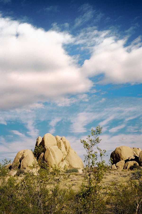 GH-JoshuaTree-19