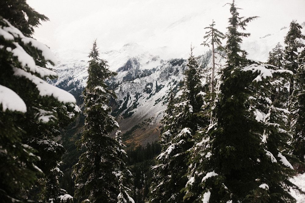 Bokanev-Mt-Baker-Bike-6