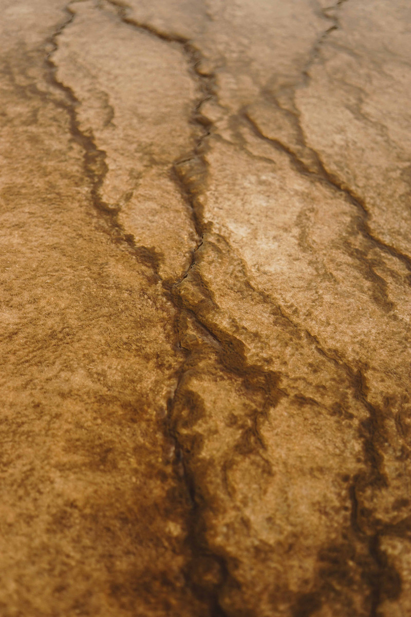 Andrew-Wee-Teton-Yellowstone-18