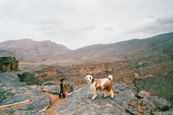 Nicola-Odemann-Oman-Mtn-12
