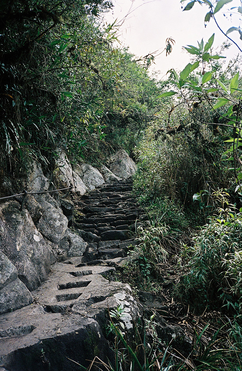 The-Field-Salkantay-Machu-Picchu-2
