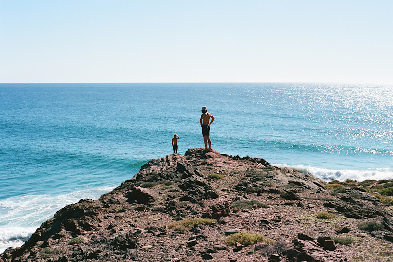 Dingus Dispatches in Baja