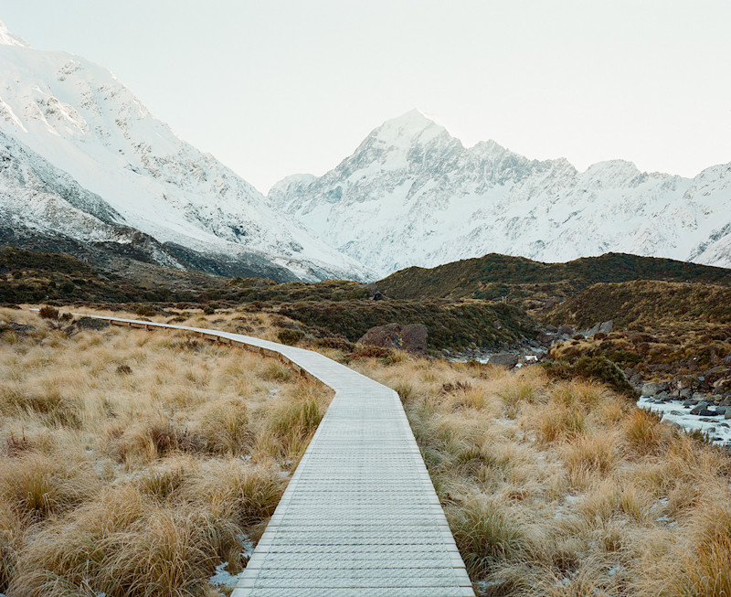 New Zealand's Serene Natural Terrain, on Medium Format Film