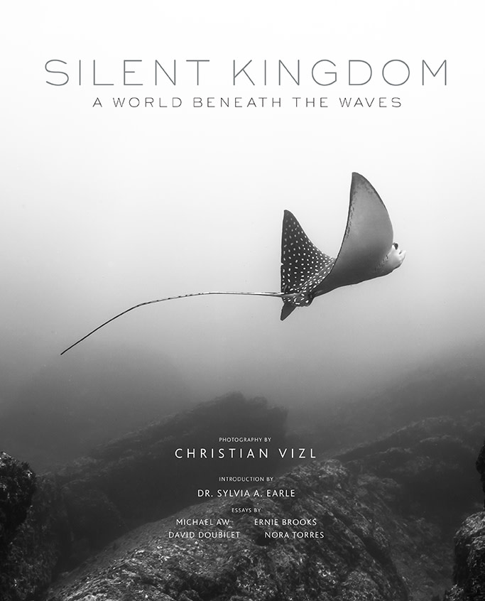 Silent-Kingdom-Cover-Christian-Vizl-2