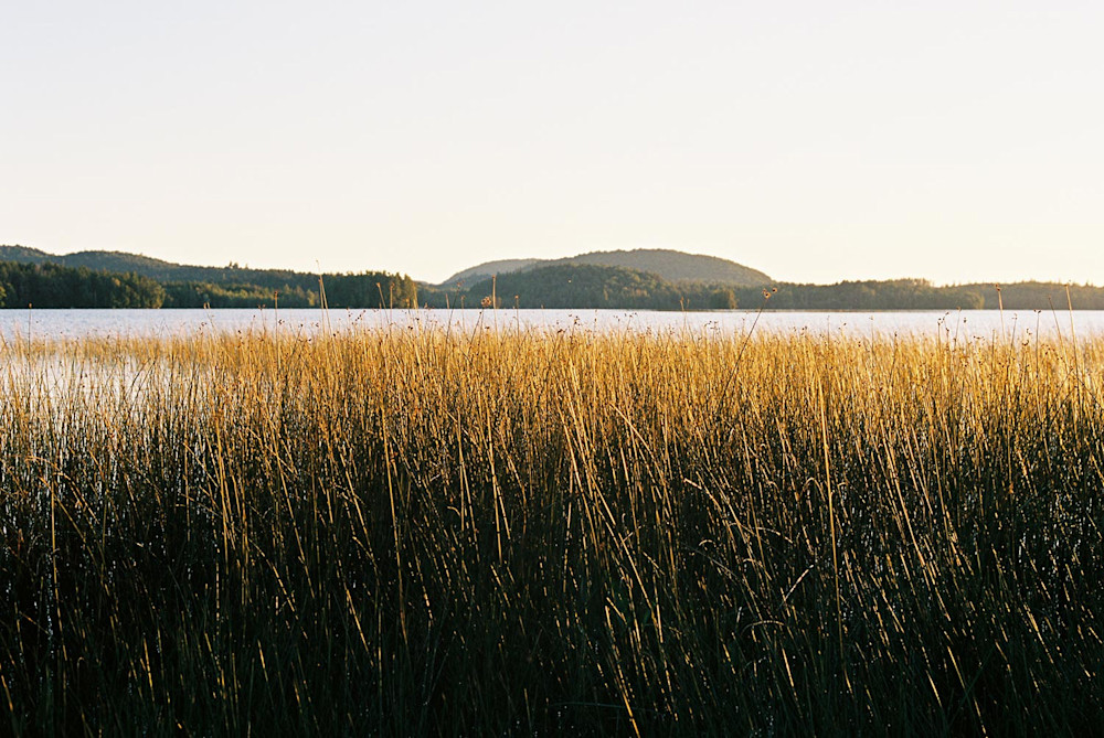 Madeline-Tolle-Saranac-Lake-14