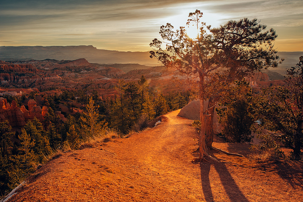 Mowery-Zion-Bryce-1