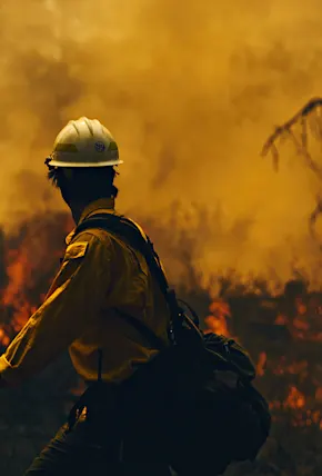 Filson x U.S. Forest Service Limited-Edition Collection