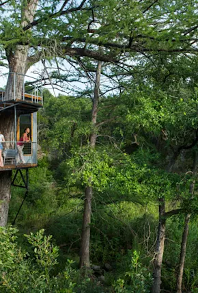 Cypress Valley Is an Elevated Treehouse Escape Outside of Austin, TX