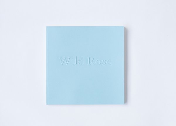 Wild Rose by Landon Speers