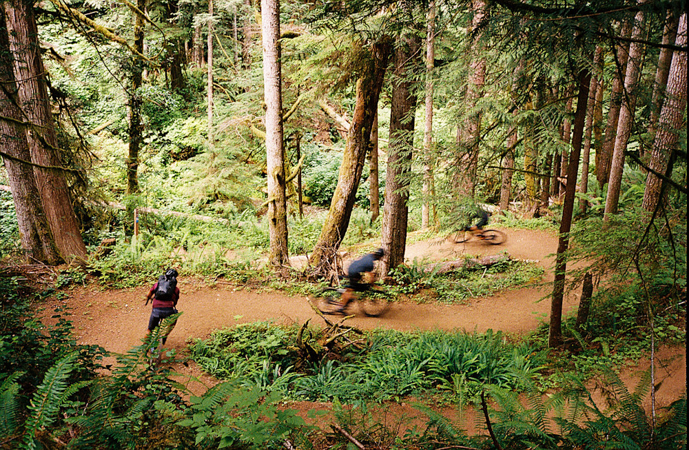 mountain biking olympic peninsula