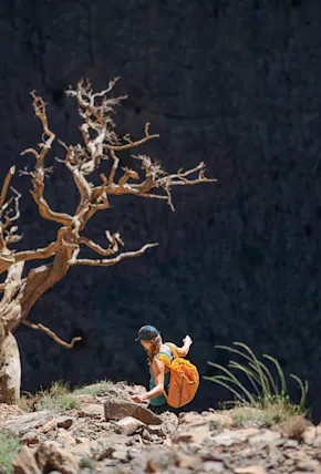 Patagonia Updates Legendary Black Hole Line