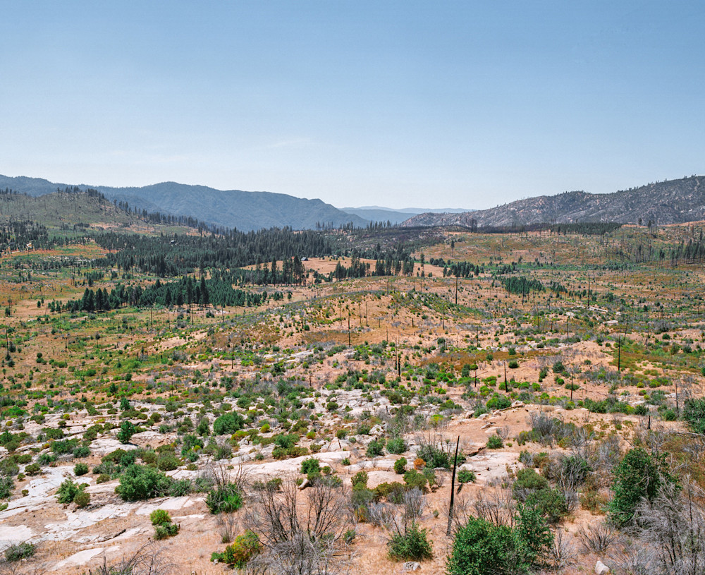 arnaud-teicher-california-2