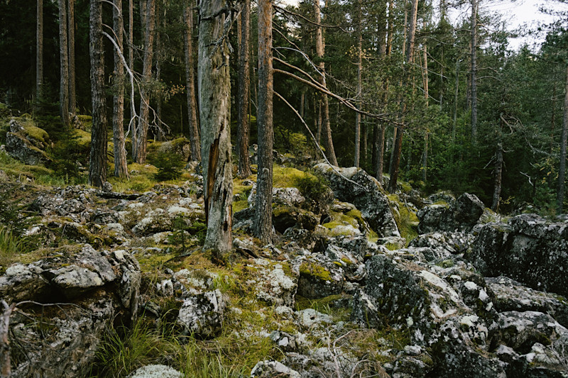 Ilya-Postnikov-Mahar-16