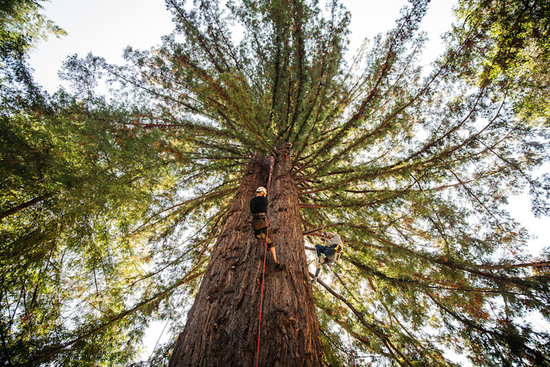 photography by Candy Mountain Collective, @candymountaincollective