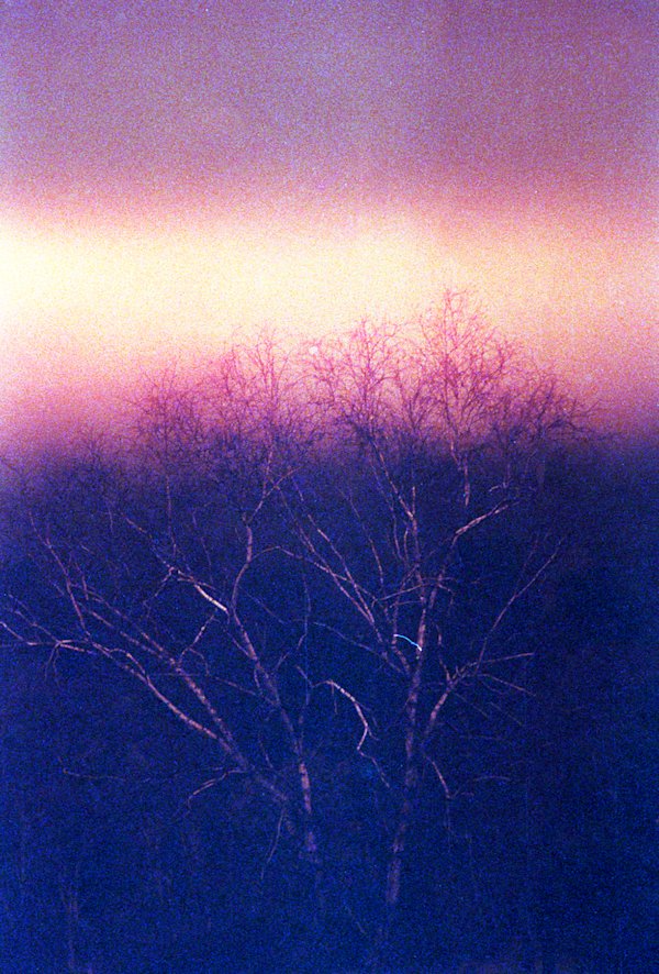 A-Gosselin-Catskills-Experimental-10