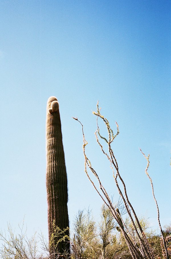 eldorado-motheroad-4