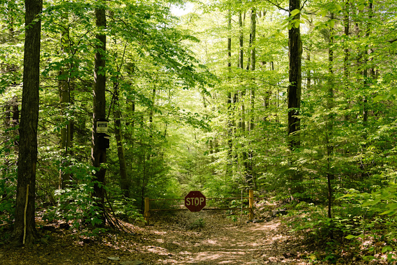 In Search of Illusive Catskill Mountain Trout