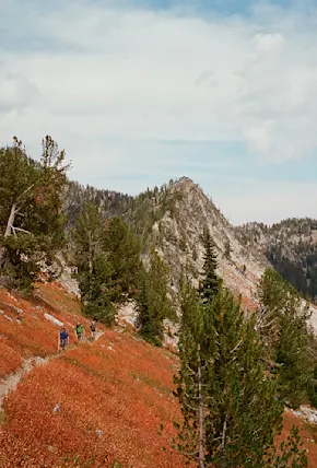 Hiking Eastern Oregon's Beautiful & Remote Elkhorn Crest Trail