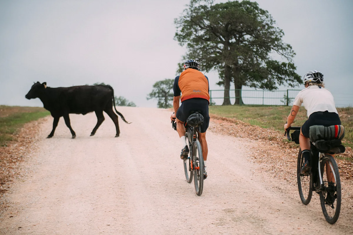 snow-peak-rapha-steer