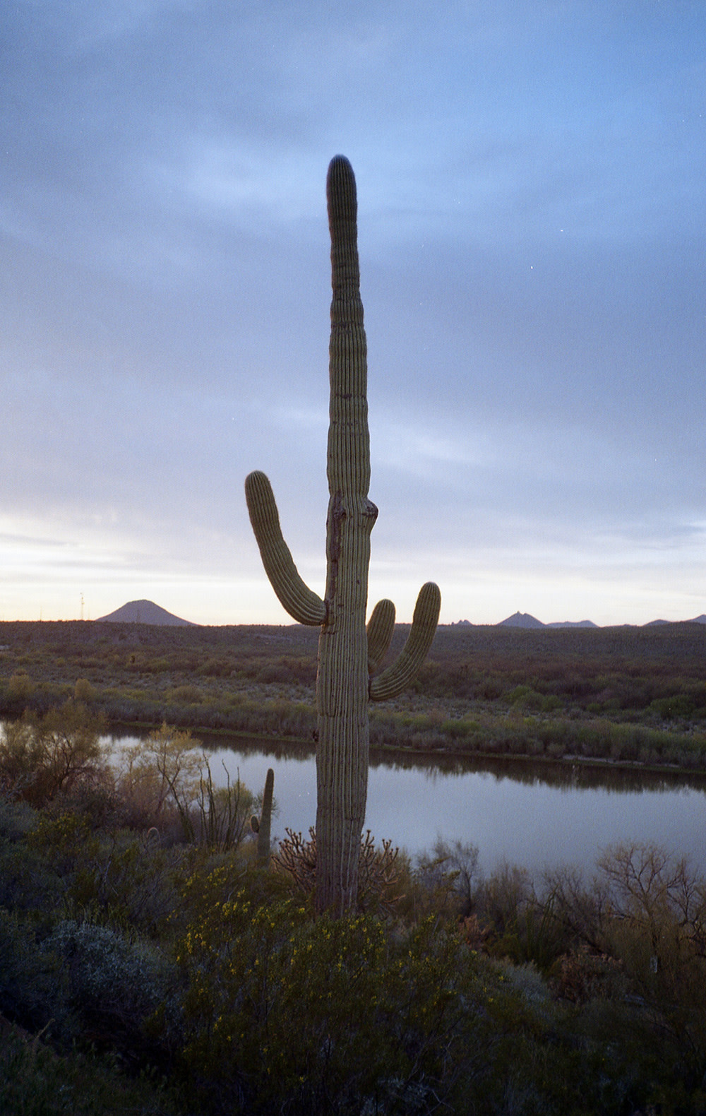 Sean-Collier-Sonora-Desert-12