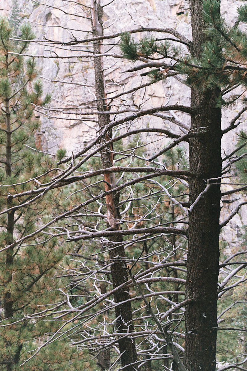 Stieb-sportiva-film-14