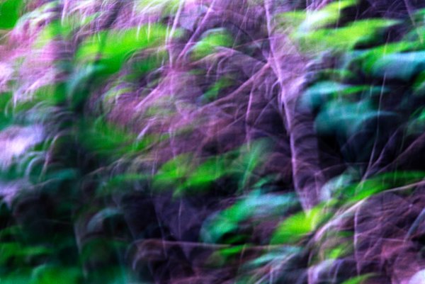 A-Gosselin-Catskills-Experimental-15