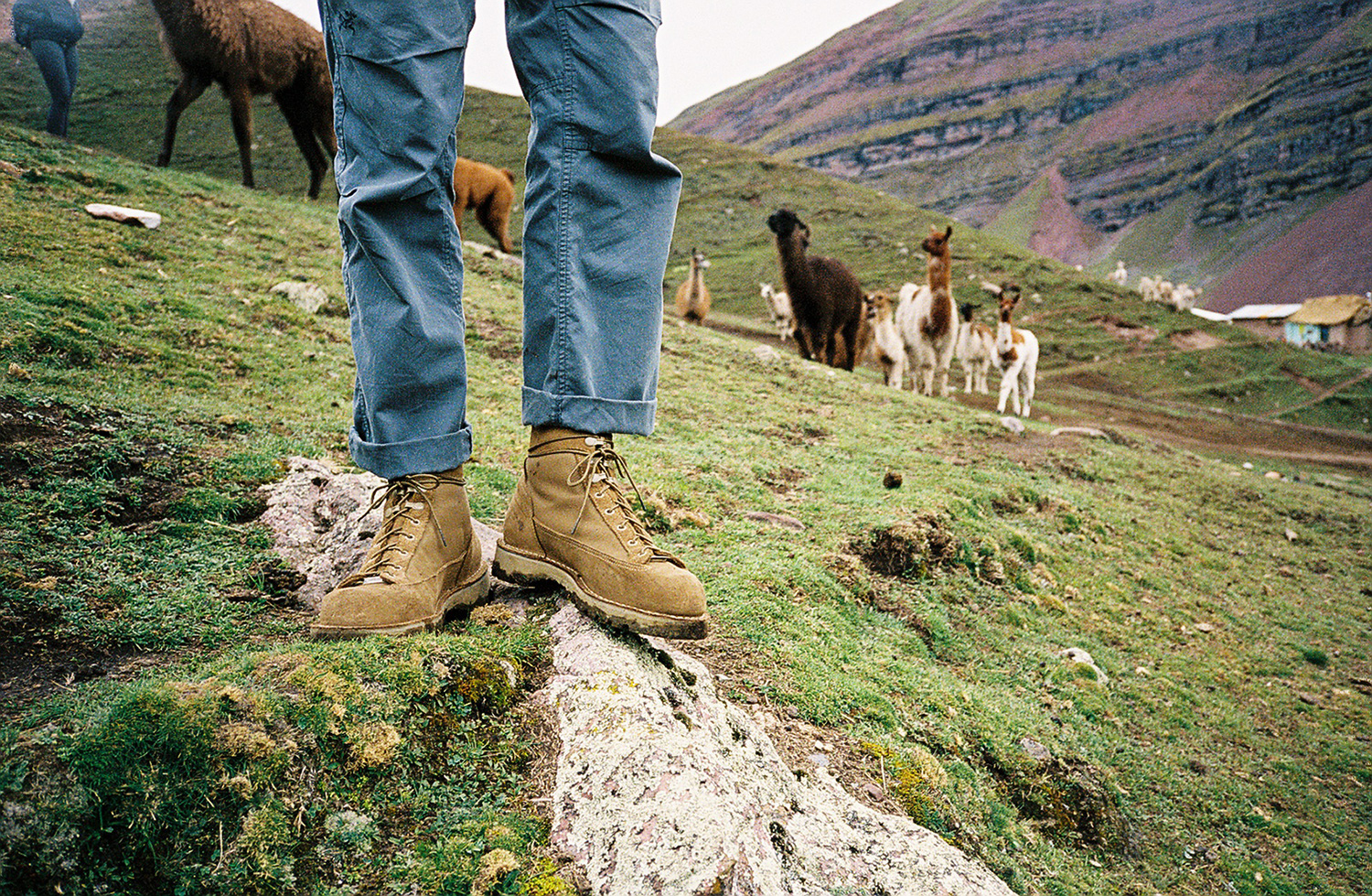 Danner mountain shop light hiking boots