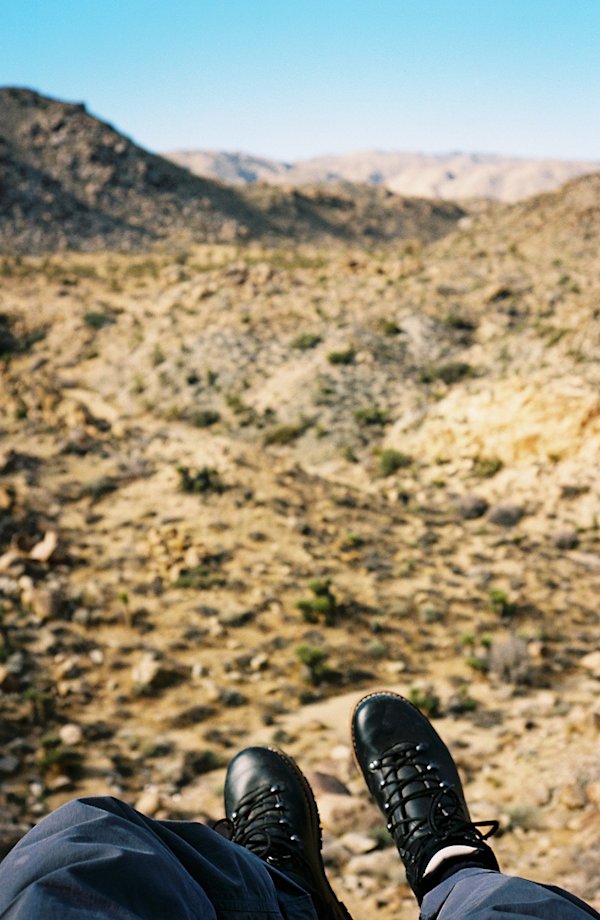 GH-JoshuaTree-16