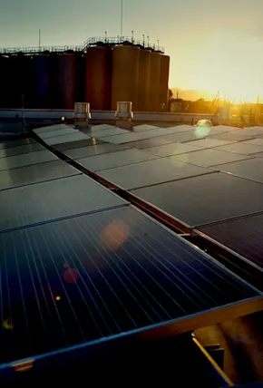 What It Means to Be Carbon Neutral, as Explained by a Beer Company