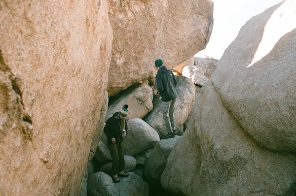M-Richardson-Joshua-Tree-8