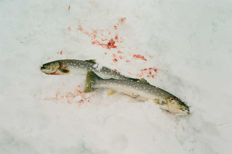 Tanner-Bowden-Kamchatka-Ski-Fieldmag-13
