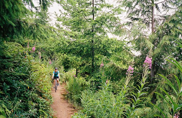 Olympic-Peninsula-Diverge-5