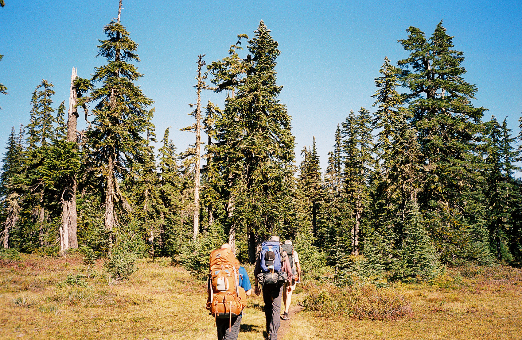 Indian heaven clearance hike