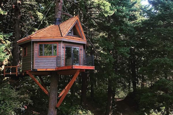 Top-Treehouses-Osprey-Treehouse-Exterior