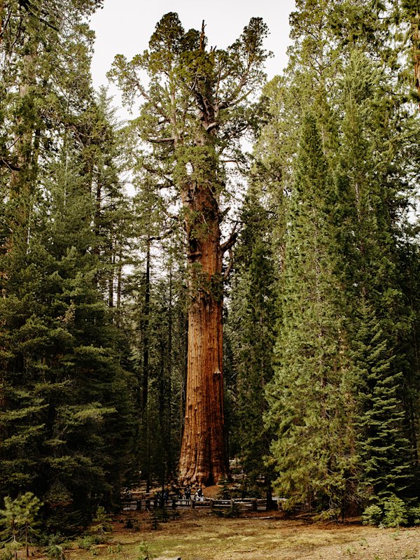 Carter-Moore-Camping-CA-12