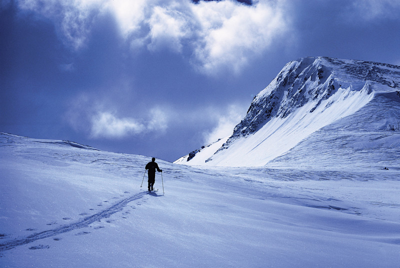 image by Tim Palmer, courtesy Rizzoli
