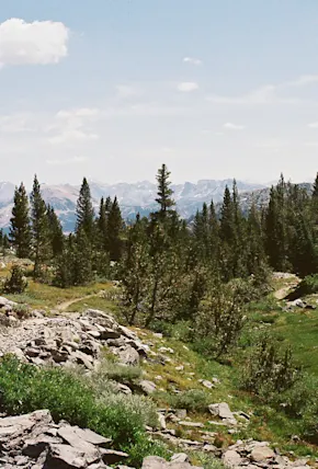 A Field Guide to Overnight Adventure in Ansel Adams Wilderness