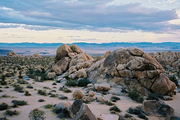 GH-JoshuaTree-2