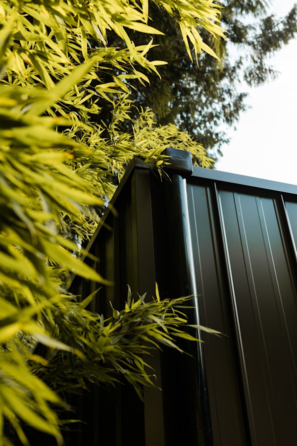 Aux-Box-Cabin-Fieldmag-2