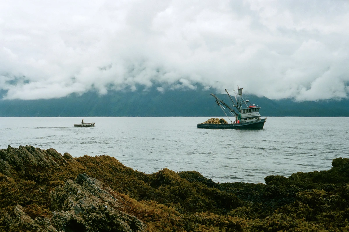 How to Fish For Salmon in Alaska - Greenhorn Diary