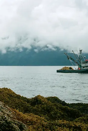 What It's Like to Fish for Salmon in Alaska as a Greenhorn
