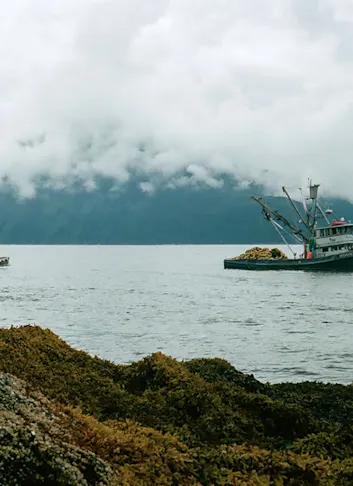 What It's Like to Fish for Salmon in Alaska as a Greenhorn