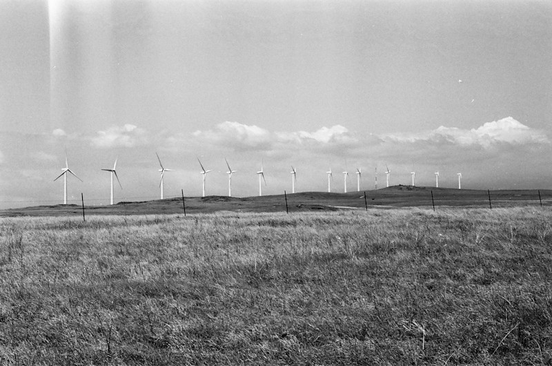 Greene-KONA-film-25
