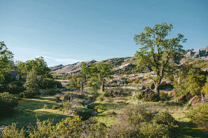 Sky-Greene-Junipr-Ridge-25